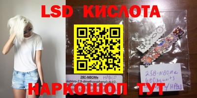 тгк Новокубанск