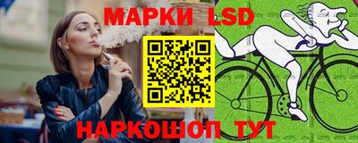 скорость Новозыбков
