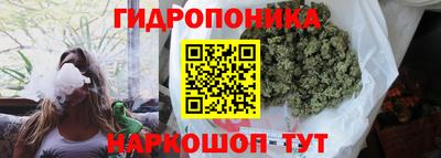 тгк Новокубанск
