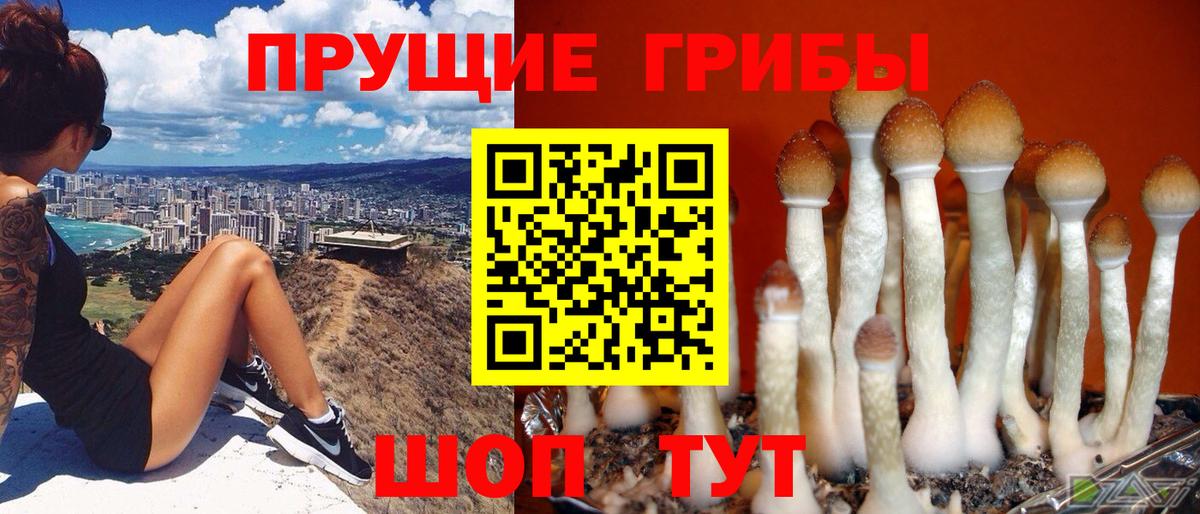 Галлюциногенные грибы мухоморы Буйнакск