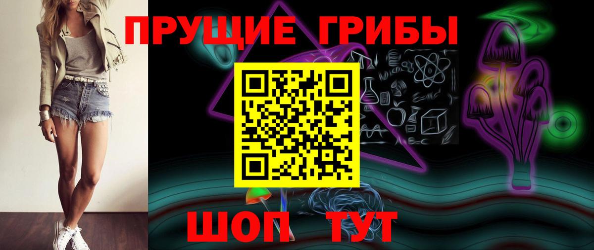 Псилоцибиновые грибы Magic Shrooms  Вход с VPN  магазин    Буйнакск  Псилоцибиновые грибы GOLDEN TEACHER 